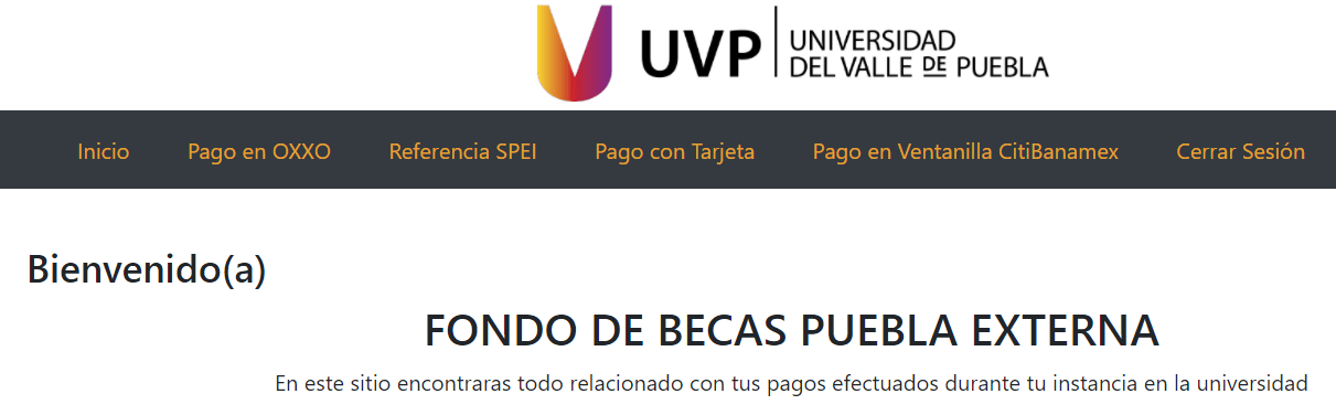 Paso 2